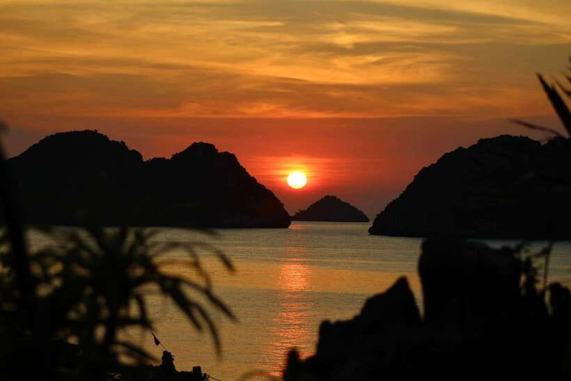 Lan Ha Bay: Bioluminescent Plankton Kayak Tour from Beo Pier - Starting at 241 Cai Beo Street