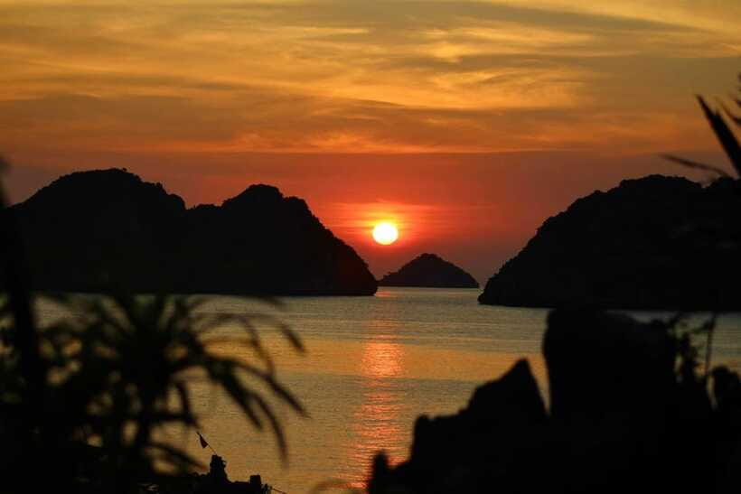 Lan Ha Bay: Bioluminescent Plankton Kayak Tour from Beo Pier - Who will enjoy this night kayak?