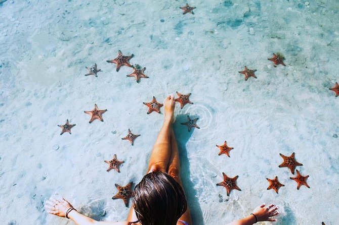Land Tour 2: Discover the North - Kayaking & Starfish beach Phu Quoc (Not Lunch) - Rach Vem floating village and the Starfish Beach question