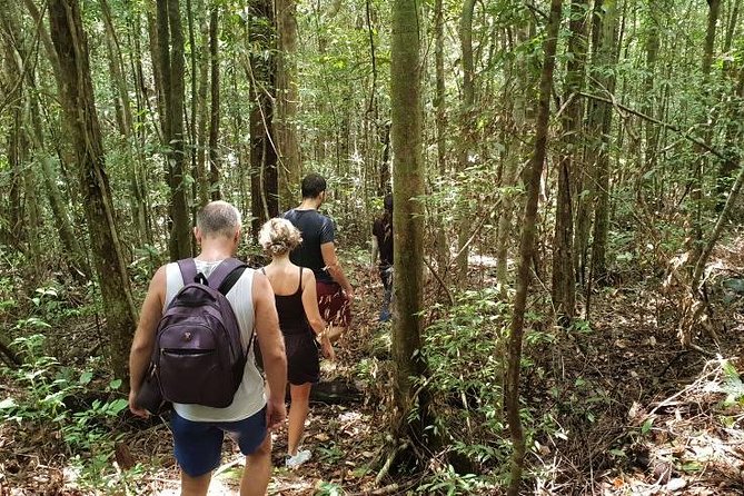 Land Tour 2: Discover the North - Kayaking & Starfish beach Phu Quoc (Not Lunch) - Kayaking the Cua Can River for 45 minutes