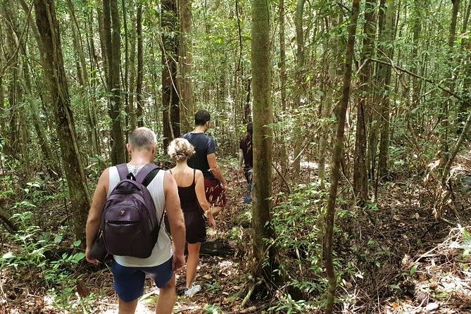 Land Tour 2: Discover the North - Kayaking & Starfish beach Phu Quoc (Not Lunch) - Roads, timing, and the rhythm of a seven-hour day