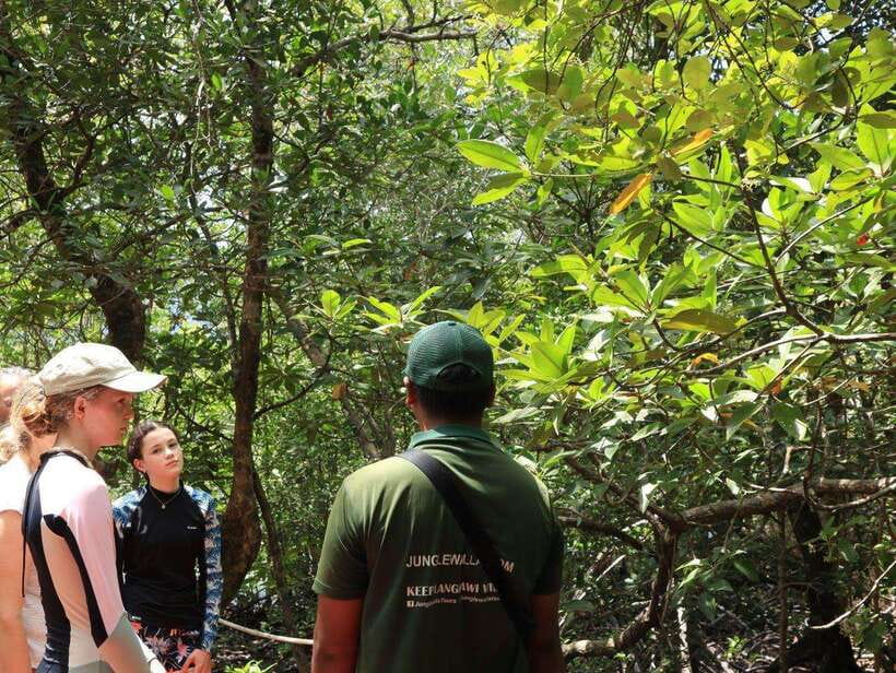 Langkawi: Kayaking Adventure and Swimming - Key points before you book