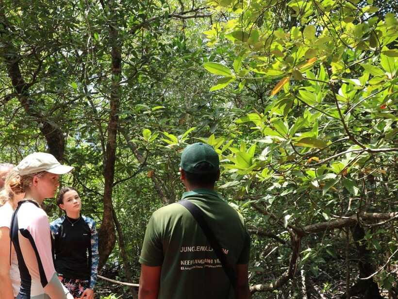 Langkawi: Kayaking Adventure and Swimming - The old charcoal kiln and Pinang Cave
