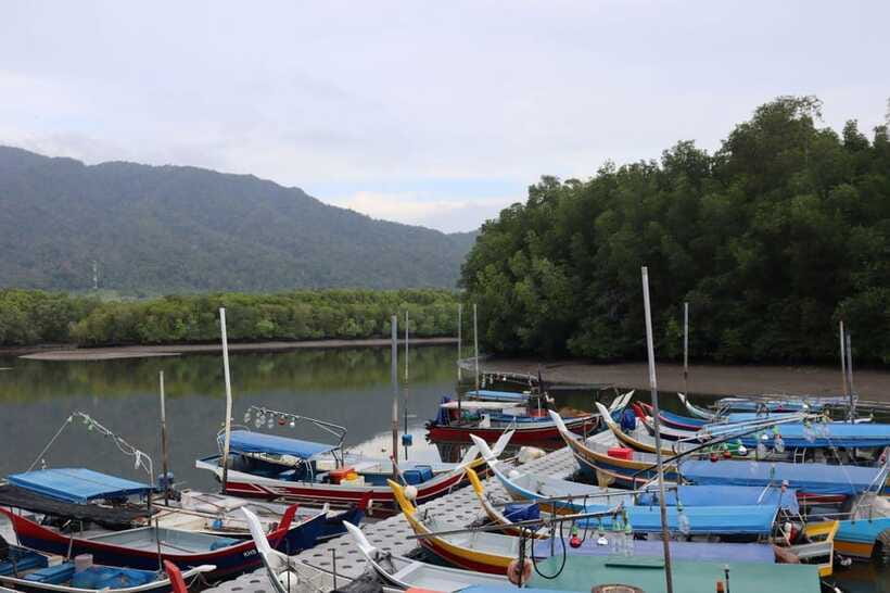 Langkawi: Kayaking Adventure and Swimming - Who will enjoy this most?