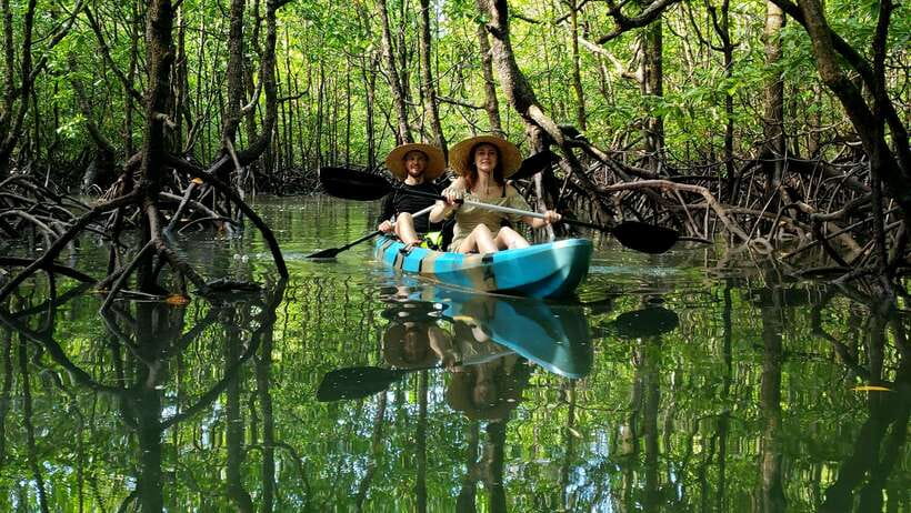 Langkawi : Kilim Geoforest Mangrove Kayak Tour with Lunch - Key points to know before you book