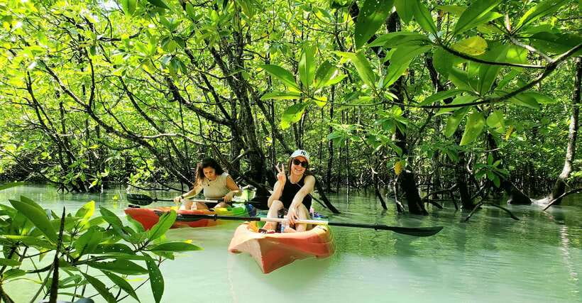 Langkawi : Kilim Geoforest Mangrove Kayak Tour with Lunch - Paddling through the mangrove channels