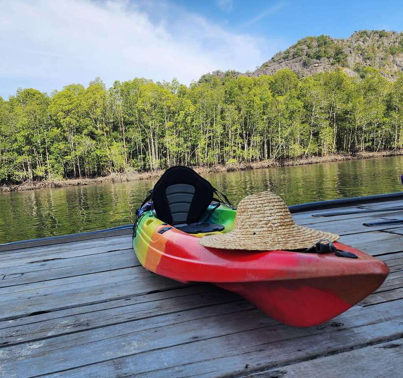 Langkawi : Kilim Geoforest Mangrove Kayak Tour with Lunch - Eagle watching without the feeding show