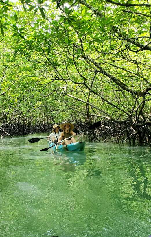 Langkawi : Kilim Geoforest Mangrove Kayak Tour with Lunch - The optional bat cave and extra stops