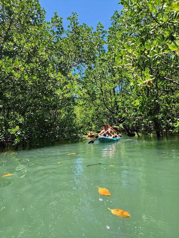 Langkawi : Kilim Geoforest Mangrove Kayak Tour with Lunch - Guide quality is the tour’s strongest feature