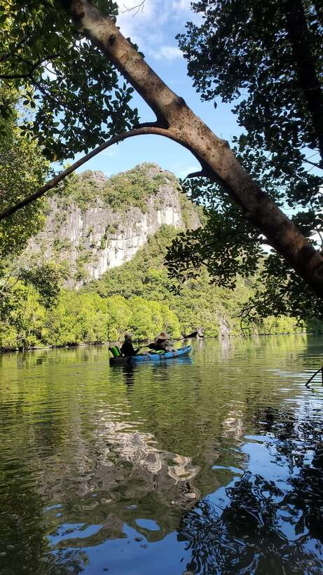 Langkawi : Kilim Geoforest Mangrove Kayak Tour with Lunch - Meeting at Kilim Geoforest Park