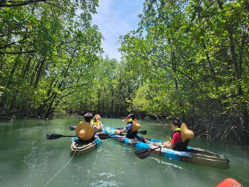 Langkawi : Kilim Mangrove Boat & Fun Kayak Tour with Lunch - Meeting at Kilim Geoforest Park