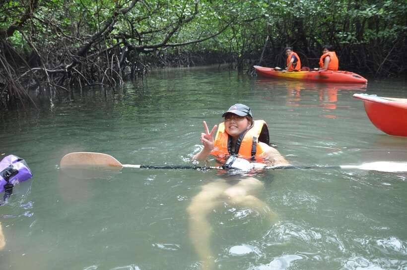 Langkawi: Kilim River Mangrove Safari Kayaking Tour - Paddling through narrow mangrove passages