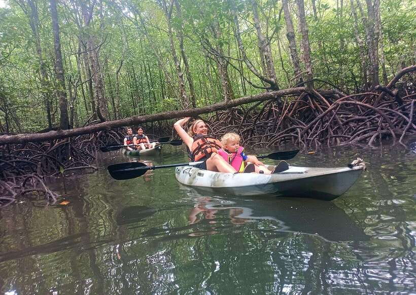 Langkawi: Kilim River Mangrove Safari Kayaking Tour - Bat Cave and the insect-eating bats
