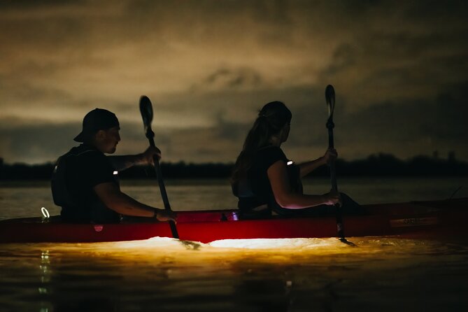 LED Bio Comb Jelly Clear Bottom Kayak or Paddleboard Tour! - Seasonal bioluminescence: what you might see