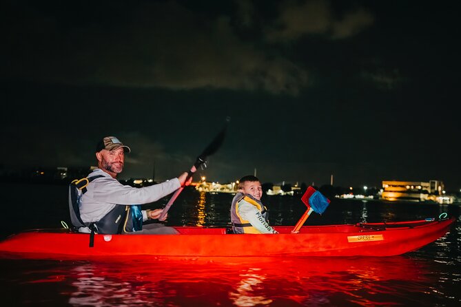 LED Bio Comb Jelly Clear Bottom Kayak or Paddleboard Tour! - Wildlife sightings depend on luck