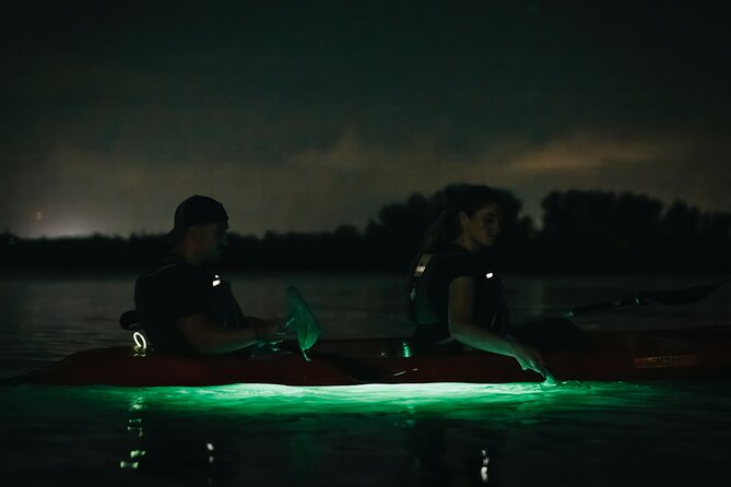 LED Bio Comb Jelly Clear Bottom Kayak or Paddleboard Tour! - How long the tour really takes