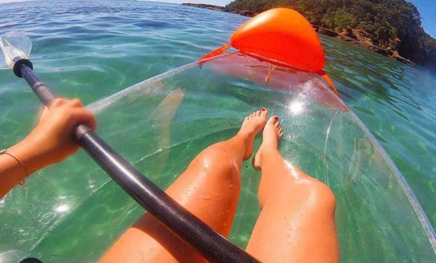 Leigh: Goat Island Clear Kayak Rental - Paddling into Goat Island Marine Reserve