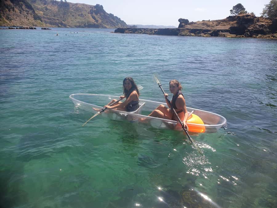 Leigh: Goat Island Clear Kayak Rental - Is $107 a fair price for one hour?