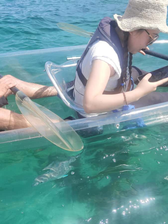Leigh: Goat Island Clear Kayak Rental - How the hour works from start to finish