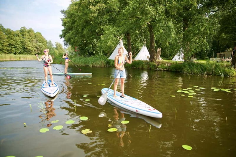 Leipzig: Cospudener Lake Stand-Up Paddleboard Course - Key points at a glance