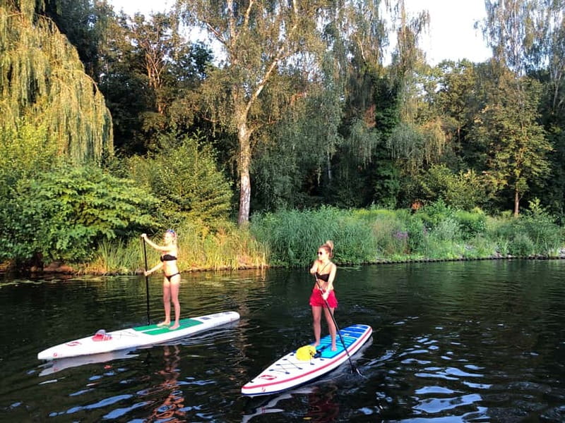 Leipzig: Cospudener Lake Stand-Up Paddleboard Course - Learning to paddle before standing