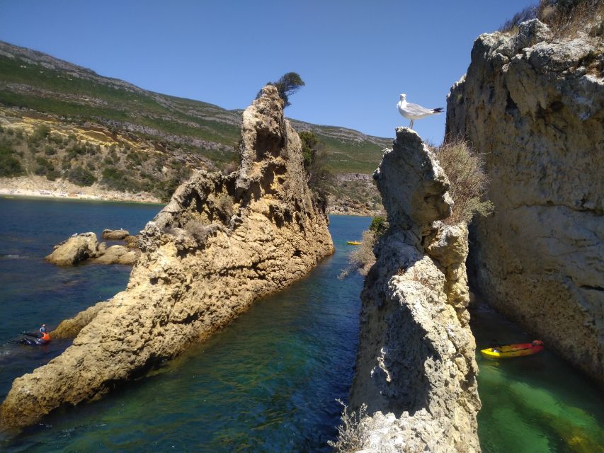 Lisbon: Arrábida Kayak and Coasteering Adventure Tour - Sea caves, cliff climbs, and small leaps into the water