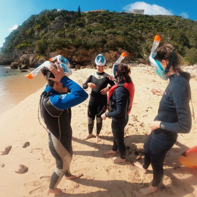 Lisbon: Arrábida Kayak & Wild Beach Snorkeling Pickup Option - Cold water, warm wetsuits, and plenty of sea life