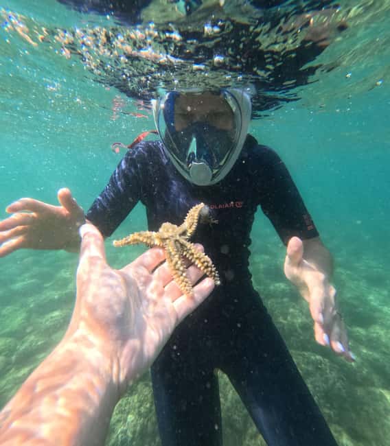 Lisbon: Arrábida Kayak & Wild Beach Snorkeling Pickup Option - Practical advice for a smoother day