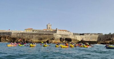 Coast Guided Kayak Tour