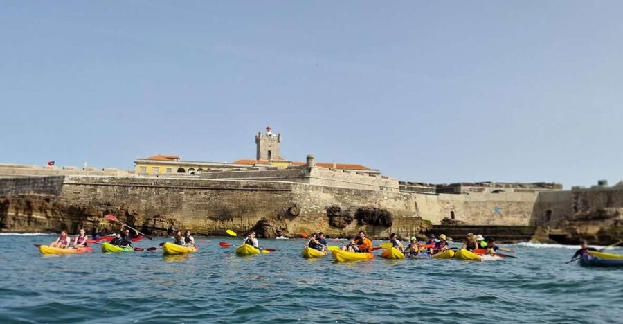 Lisbon: Coast Guided Kayak Tour - Finding the BORK Kayak & Outdoor Centre