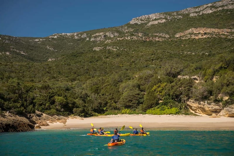 Lisbon: Kayak Tour Arrábida Natural Park, Setubal, Sesimbra - Who Will Enjoy This Most?