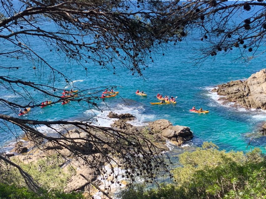 Lloret de Mar: 3-Hour Kayak and Snorkel Tour on Costa Brava - Should you book it?