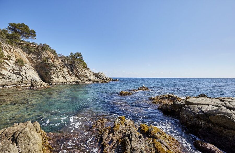 Lloret de Mar: Costa Brava Kayak Tour and Swimming - The cove stop and a swim in clear water