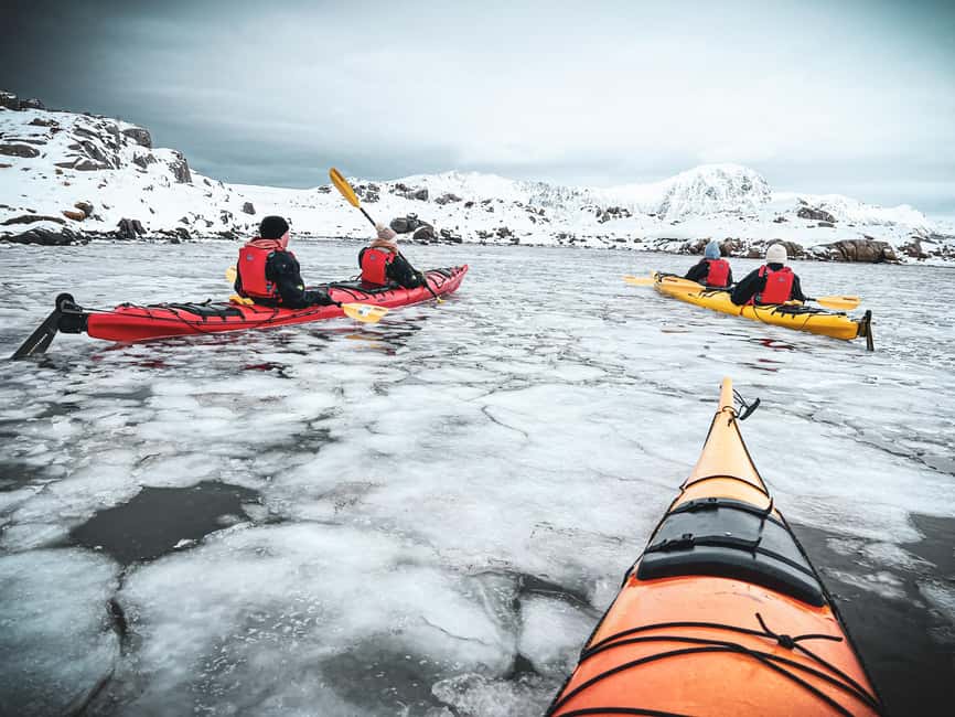 Lofoten: Half-Day Winter Kayak Adventure - Quiet Water, Birds, and Marine Life