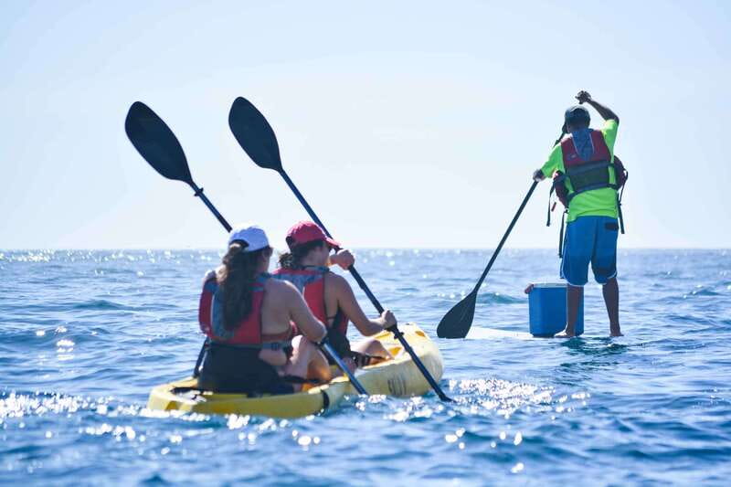 Los Cabos Arch & Playa del Amor Tour by Glass Bottom Kayak - Sea lions, seabirds, and life beneath the kayak