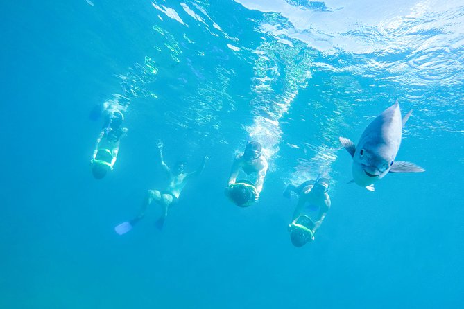Los Cabos Power snorkel Adventure, Kayaking and Stand-Up Paddle - Five things to know before booking