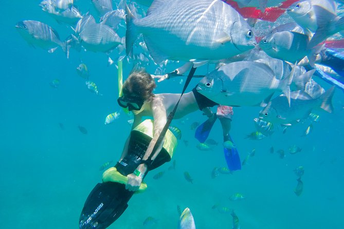 Los Cabos Power snorkel Adventure, Kayaking and Stand-Up Paddle - What to bring and how to prepare