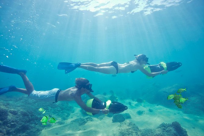 Los Cabos Power snorkel Adventure, Kayaking and Stand-Up Paddle - Morning or afternoon: choosing your time