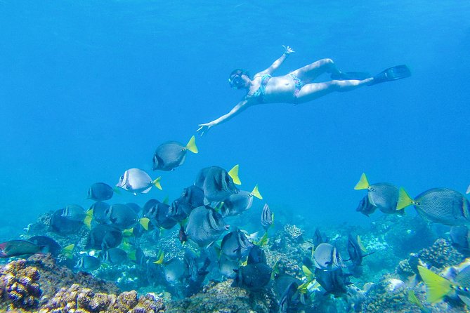 Los Cabos Power snorkel Adventure, Kayaking and Stand-Up Paddle - Who will enjoy this water adventure?
