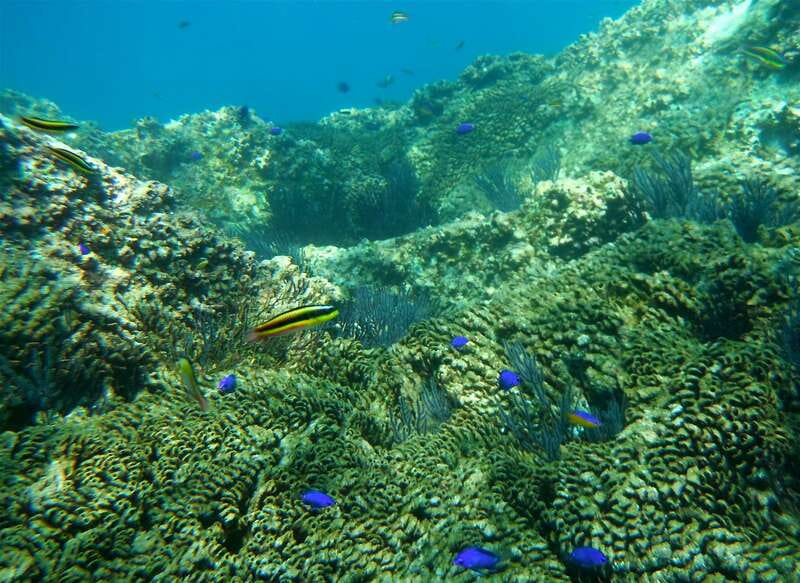 Los Cabos: The Arch and Lover's Beach Kayaking + Snorkeling - Lover’s Beach gives the tour a useful pause