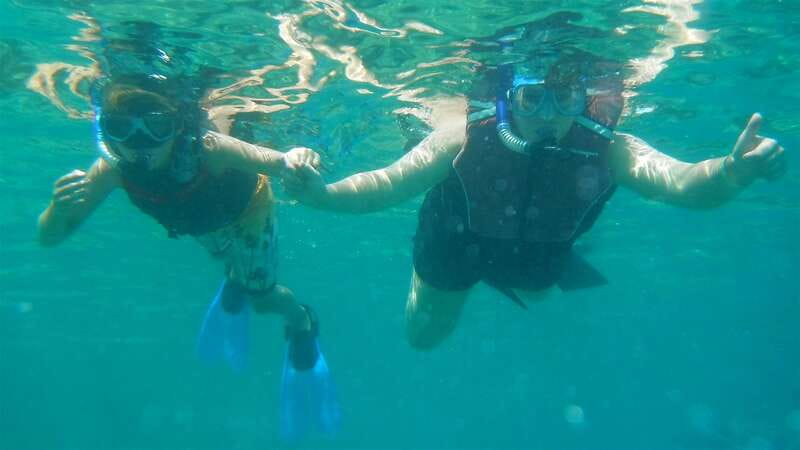Los Cabos: The Arch and Lover's Beach Kayaking + Snorkeling - Snorkeling at Pelican Rock or Neptune’s Finger