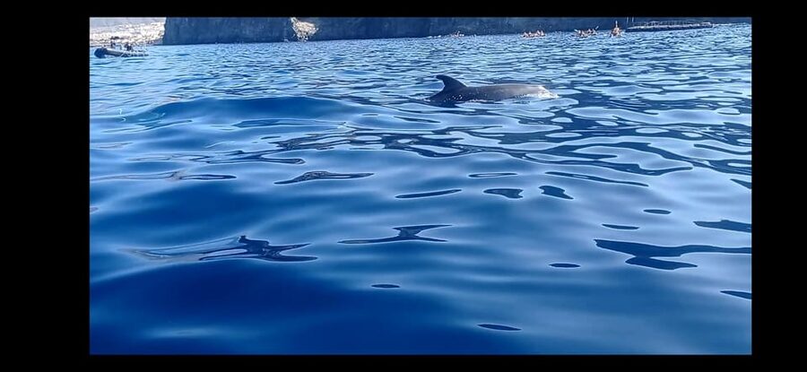 Los Cristianos: Kayak & Snorkel Tour with turtles and photos included - Key points at a glance