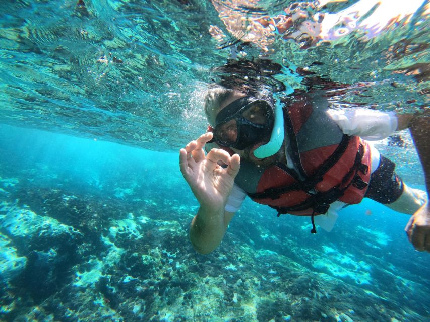 Los Cristianos: Kayaking and Snorkeling with Marine Wildlife - The return paddle and the Mount Teide view
