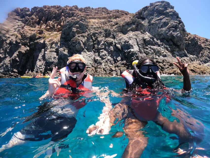 Los Cristianos: Kayaking and Snorkeling with Marine Wildlife - Who will enjoy this trip most