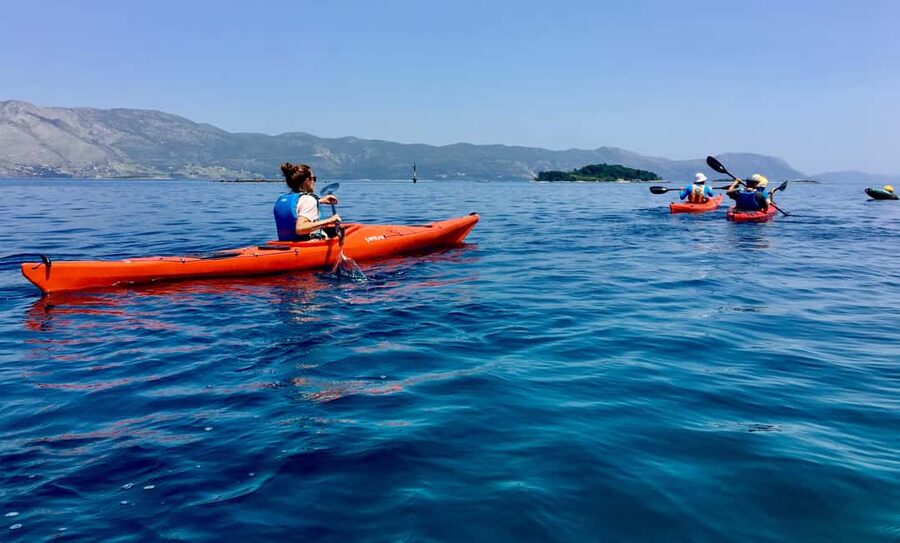 Lumbarda: Half-Day Kayaking and History with Wine delight - What the guides add to the day