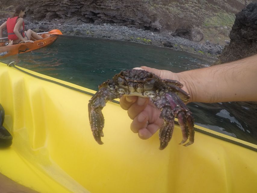 Madeira: Garajau Nature Reserve Kayak and Snorkel Tour - Is $41 good value?