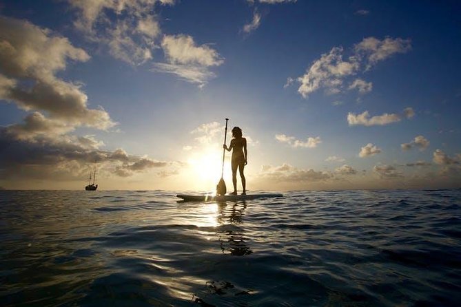 Magic Island Honolulu Stand Up Paddling - The first few minutes on a stable board