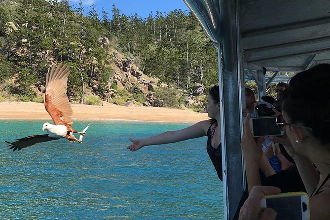 Magnetic Island Discovery Tour with Snorkeling & Paddle Boarding - Secluded Bays and Beaches You Cannot Reach by Road