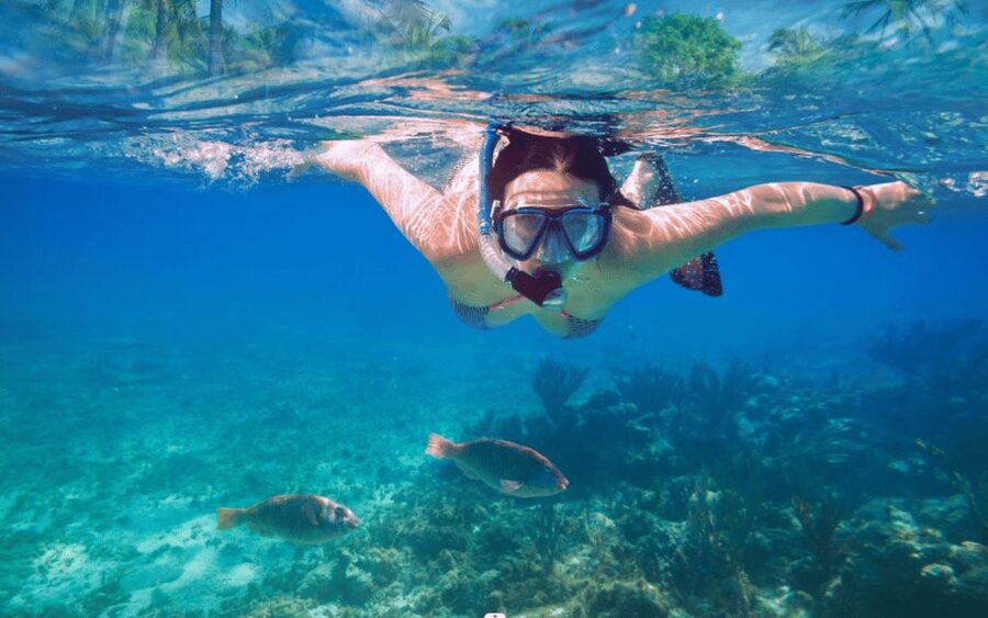 Makarska: Sea kayaking & snorkeling adventure - MPL Nautika - Morning or evening: choosing the better departure