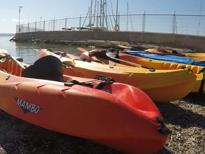 Mallorca: Kayak Rental - Equipment and staff quality